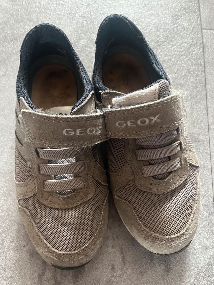 Geox Schuhe Größe 29 in Mindelheim