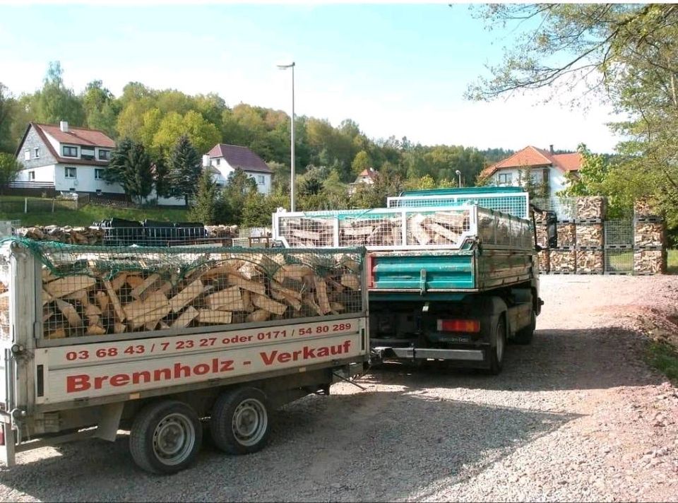 Kaminholz Brennholz Fichte 1 Srm 55,-Euro trocken in Viernau