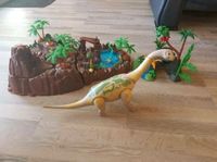 Playmobil 4172 Dinosaurier-Set Mecklenburg-Vorpommern - Wilmshagen Vorschau