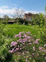 Tiny House Stellplatz / Freizeitgrundstück / Pachtgarten Sachsen-Anhalt - Querfurt Vorschau