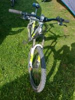 Rockrider E-Bike Bayern - Wildenberg Vorschau