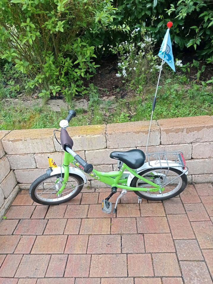 Puky Fahrrad 16 Zoll in Sulz