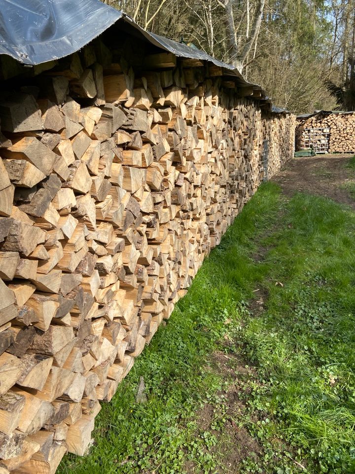 Brennholz Feuerholz Kaminholz Hartholz Esche wie Buche in Hillscheid