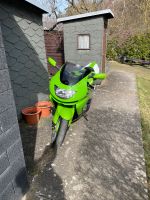 Kawasaki Ninja Heckteil / Motorrad Brandenburg - Zühlsdorf Vorschau