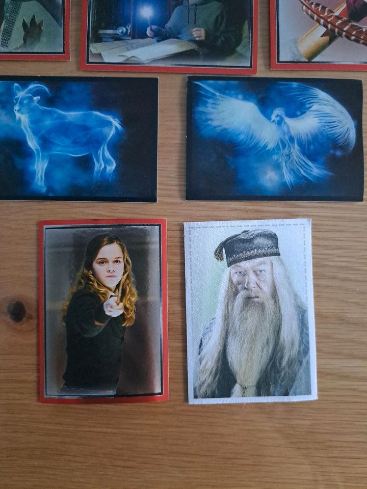 Panini Wizarding World Harry Potter Sammelkarten in Breitenbrunn i.d. Oberpfalz