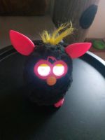 Furby zu verkaufen Mecklenburg-Vorpommern - Putbus Vorschau