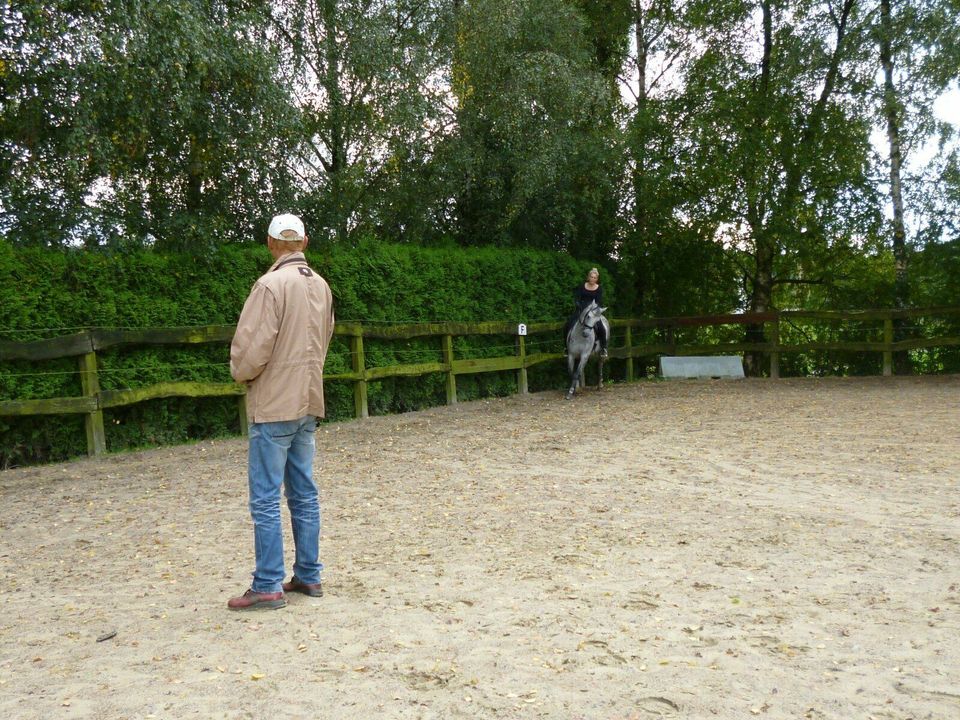 Mobiler Reitunterricht klassisch, Einzelunterricht, Dressur in Wülfrath