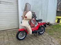 Geile Karre! Gilera EC1 Citta erst 115 Km Piaggio Vespa Puch Mofa Nordrhein-Westfalen - Goch Vorschau