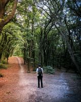 Kurz Retreat in der Lüneburger Heide Altona - Hamburg Blankenese Vorschau