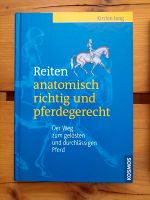 Reiten anatomisch richtig und pferdegerecht Bayern - Peißenberg Vorschau