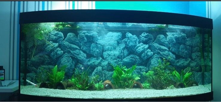 Juwel Vision 450l Aquarium 150cm inkl. Eheim professionel 3 in Grünberg