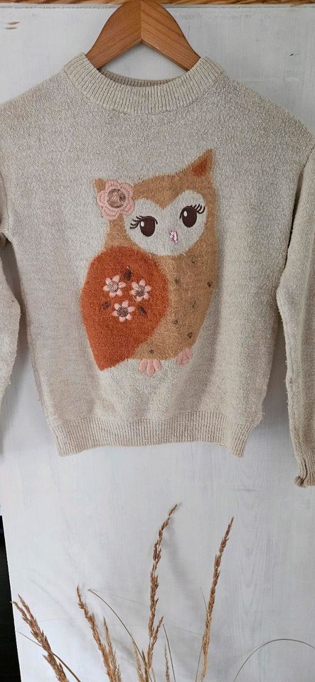 Flauschige Pullis/Pullover, Strickjacken, H&M, zara usw. in Wettin-Löbejün