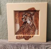 Bild Gepard (Deko Afrika) 52 x 52 cm Hessen - Rodgau Vorschau