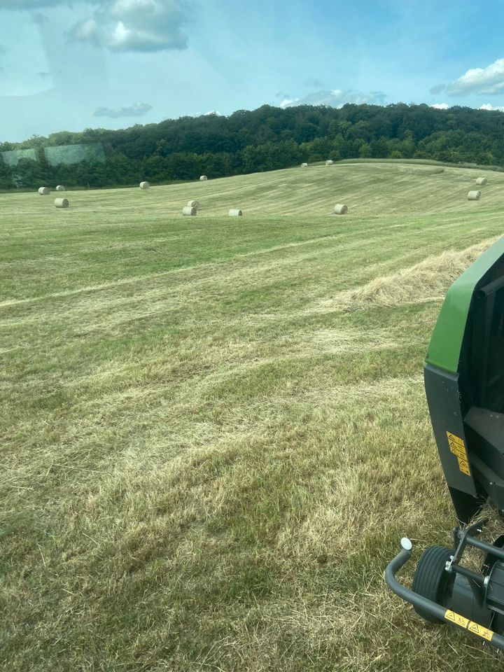 Dienstleistungen Lohnarbeiten Landwirtschaft Mähen Pressen in Torgelow