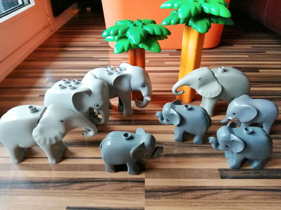 Lego Duplo Zoo Elefant Elefantenfamilie in Fürth