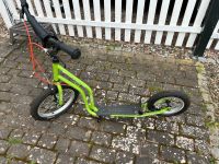 Yedoo Wzoom grün wie neu Roller Scooter Tretroller Niedersachsen - Rosdorf Vorschau