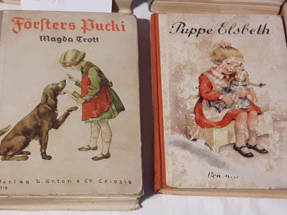 Antike Kinderbücher Romane 1890 - 1941 in Döbeln