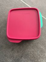 Tupperware Lunchbox Nordrhein-Westfalen - Krefeld Vorschau