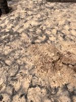 Sand zu verschenken Nordrhein-Westfalen - Rietberg Vorschau