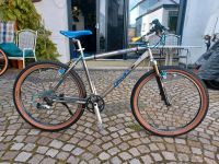 Dynamics 26" Vintage mtb Mountainbike Viele Neuteile Restauriert Rheinland-Pfalz - Schifferstadt Vorschau