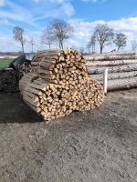 Brennholz bzw. Weichholz Bayern - Hollenbach Vorschau