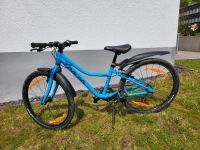 Kinderfahrrad Naloo Chameleon 24 Zoll Hessen - Hohenstein Vorschau