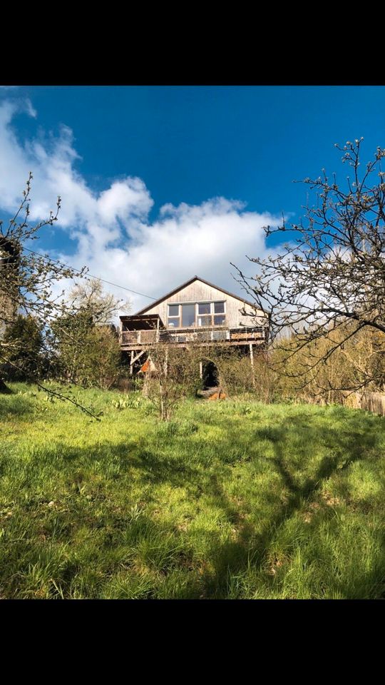 Eingezäuntes Ferienhaus im Hundeparadies Eifel in Ohlenhard