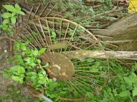 Heumarad - Sonne- für Gartengestalltung, Baden-Württemberg - Hüttisheim Vorschau