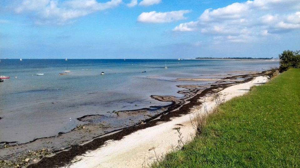 Schöne Ferienwohnung, Stein (Ostsee), 70qm, 300m zum Strand in Stein (Probstei)