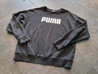 Puma Hoodie Sweatshirt L 40 Thüringen - Gebesee Vorschau