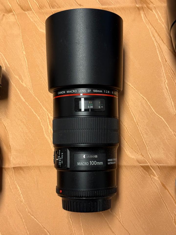 Canon 7D, 70-200mm f2.8, 15-85mm, 17-35mm, 18-55mm, 100mm Makro in Chemnitz