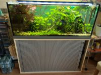 240l Aquarium mit GHL Steuerung Brandenburg - Spremberg Vorschau