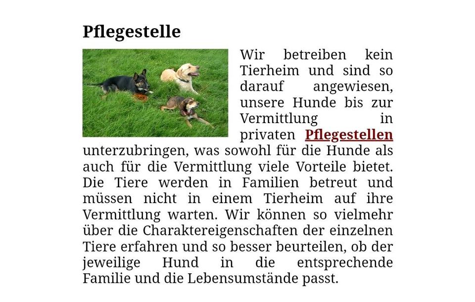 Pflegestellen gesucht ( im Rhein Main Gebiet) in Schaafheim