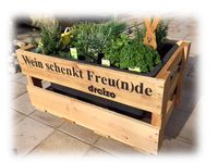 Blumenkiste mit Pflanzkübel in Weinsteigenoptik -Exklusiv bei uns Rheinland-Pfalz - Deidesheim Vorschau