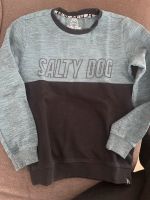 Pulli Salty Dog Gr 146/152 Rheinland-Pfalz - Römerberg Vorschau