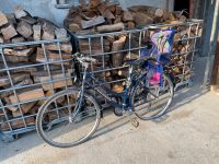 Pegasus Fahrrad mit Kettler Kindersitz Baden-Württemberg - Untermünkheim Vorschau