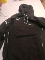 Puma Hoody Damen M Nordrhein-Westfalen - Blomberg Vorschau