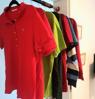 8x lacoste sweater polo shirt neuwertig Berlin - Pankow Vorschau