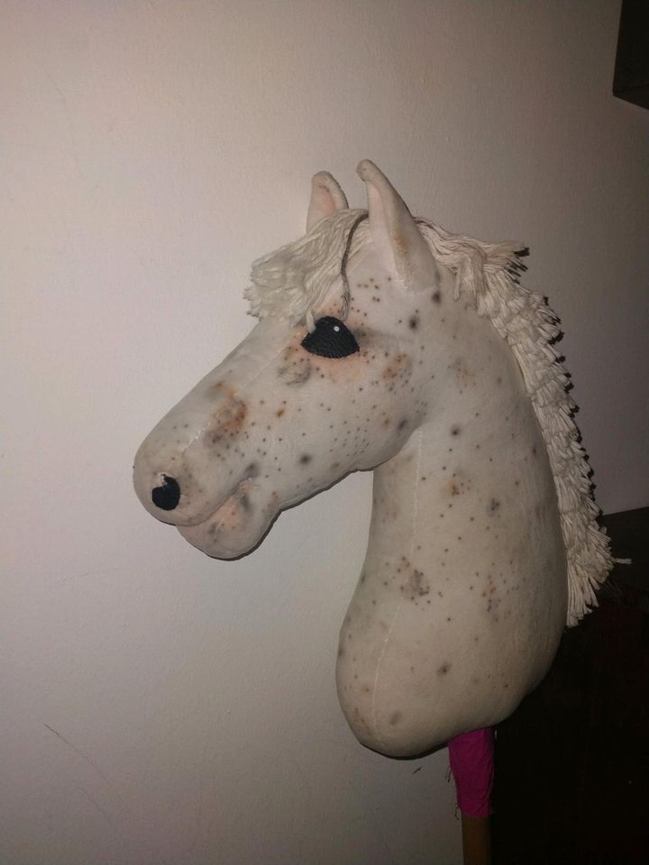 Suche Hobby Horse Turnier in Roding