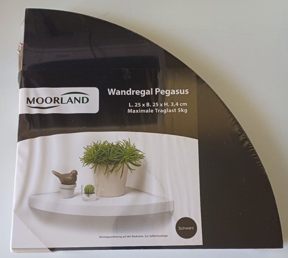 Moorland Wandregal Pegasus - (NEU) in Belgern