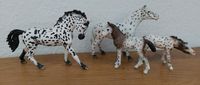 Schleich Knabstrupper 2 Stuten und 2 Fohlen Baden-Württemberg - Friedrichshafen Vorschau