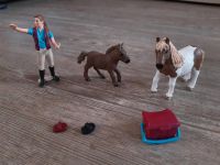 Schleich 42362 Pferdepflegerin mit Shettlandponies Sachsen - Oberlungwitz Vorschau