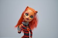 Monster High Mattel Puppe First Wave Release Cat Tastrophe TOP Baden-Württemberg - Orsingen-Nenzingen Vorschau