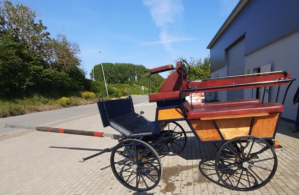 Kutsche / Wagonette für 6 Personen in Lichtenau