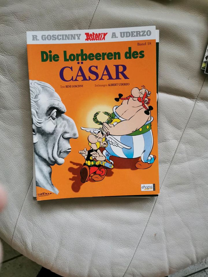 Asterix Hefte in Gaimersheim