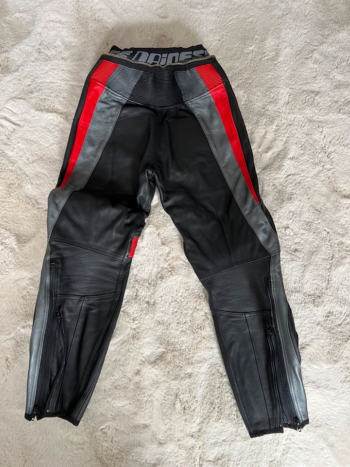 Dainese Lederkombi / Motorradkombi in Steinfurt