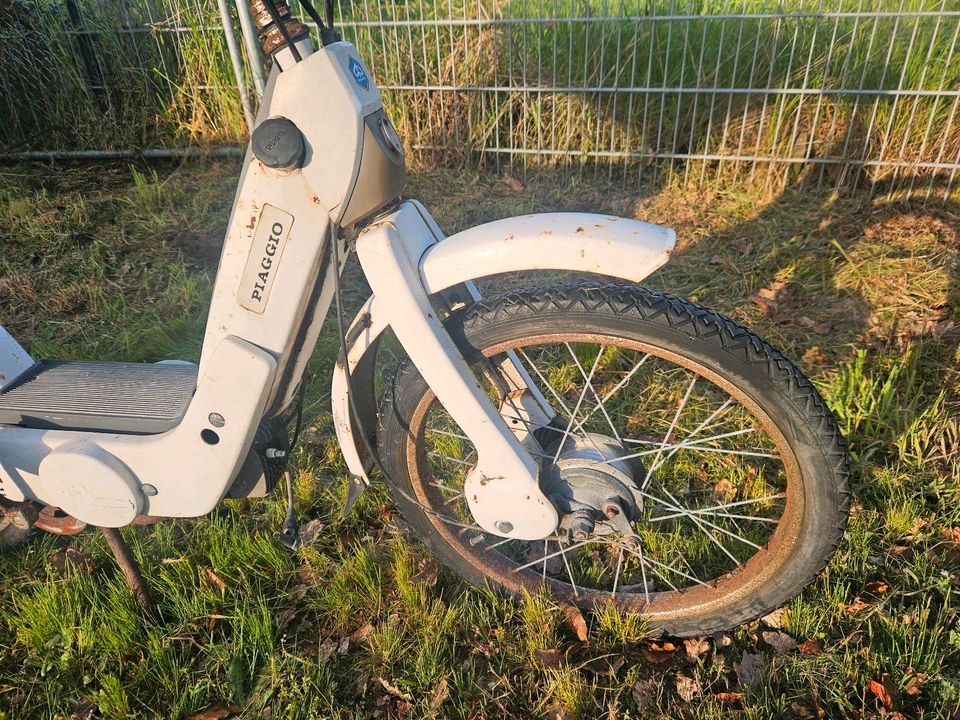 Piaggio Ciao Mofa Moped ähnlich Bravo Si Boxer Teile Schlachtfest in Nettersheim