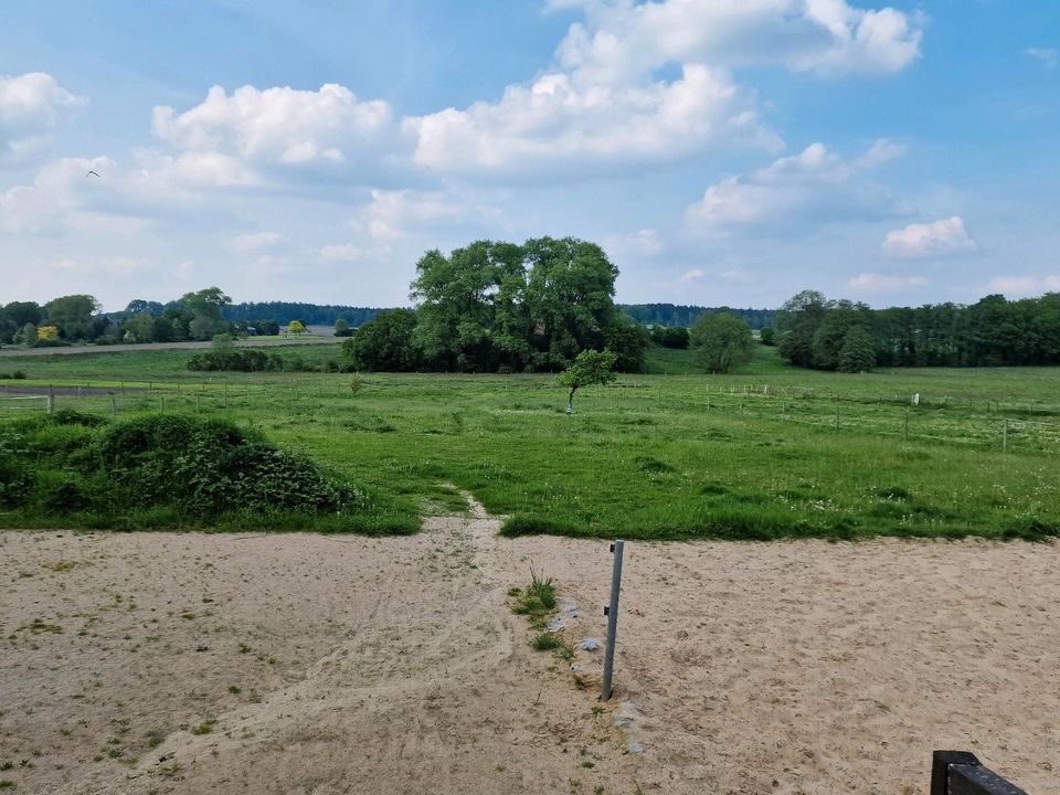 Stalltrakt zu vermieten an Selbstversorger in Belm