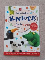 Bastelbuch Kinderbuch "Tiere kneten" Brandenburg - Cottbus Vorschau