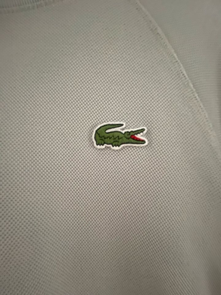 Lacoste Pullover Herren in Saarbrücken